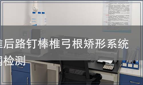 胸腰椎后路钉棒椎弓根矫形系统不锈钢检测