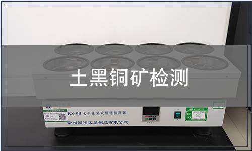 土黑铜矿检测