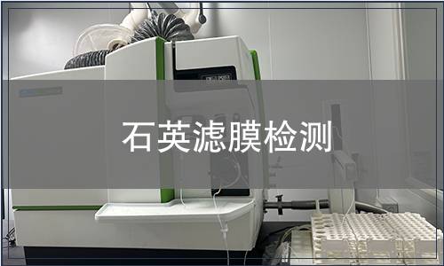 石英滤膜检测