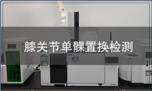 膝关节单髁置换检测