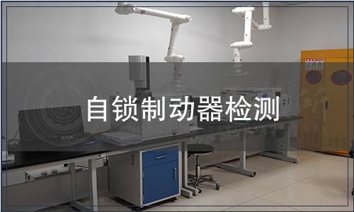 自锁制动器检测