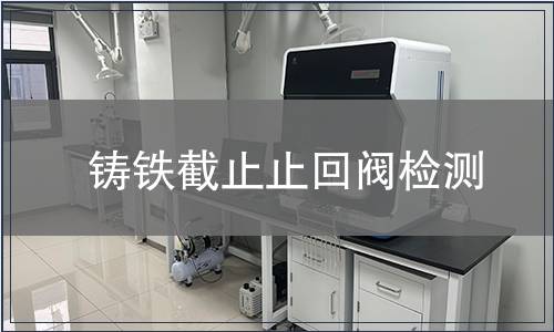 铸铁截止止回阀检测