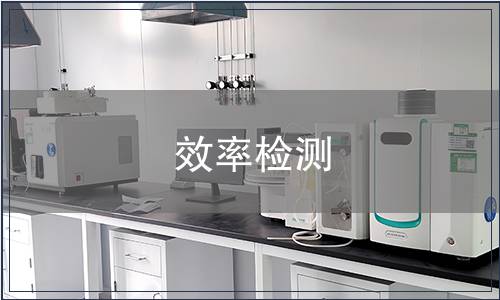 效率检测