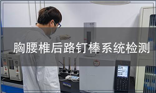 胸腰椎后路钉棒系统检测