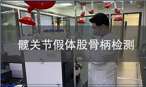 髋关节假体股骨柄检测