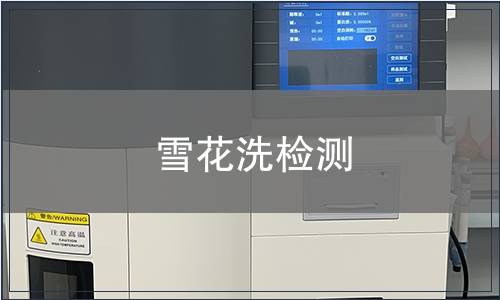 雪花洗检测