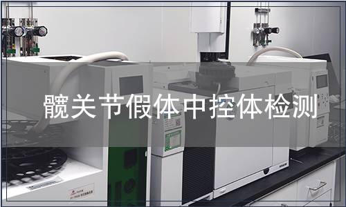 髋关节假体中控体检测