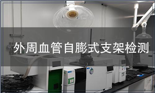 外周血管自膨式支架检测