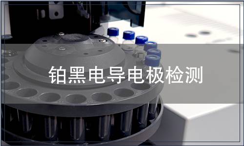 铂黑电导电极检测