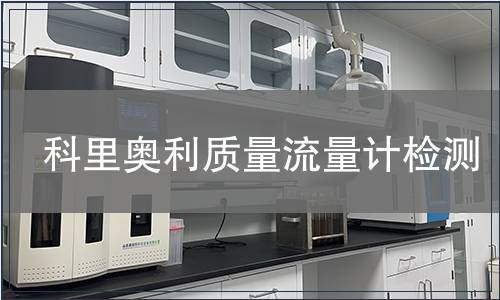 科里奥利质量流量计检测