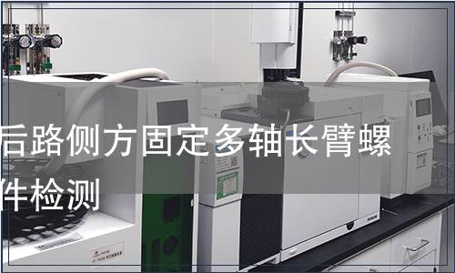 胸腰椎后路侧方固定多轴长臂螺钉含附件检测