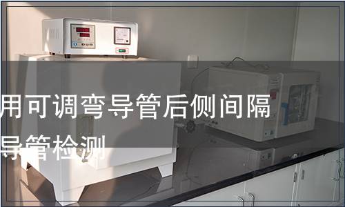 诊断消融用可调弯导管后侧间隔温控消融导管检测