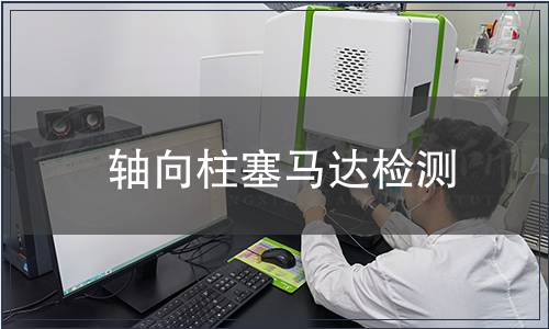 轴向柱塞马达检测