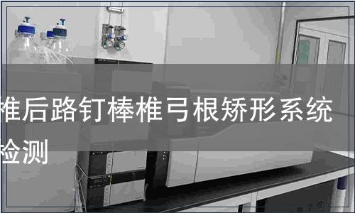 胸腰椎后路钉棒椎弓根矫形系统纯钛检测
