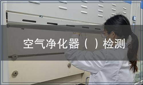 空气净化器（）检测