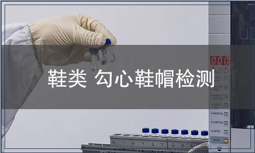 鞋类 勾心鞋帽检测
