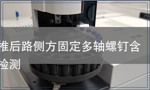 胸腰椎后路侧方固定多轴螺钉含附件检测