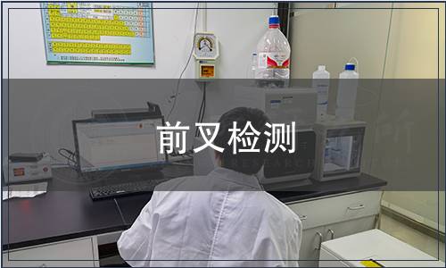 前叉检测
