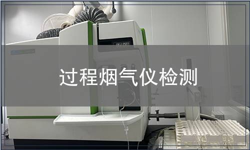过程烟气仪检测