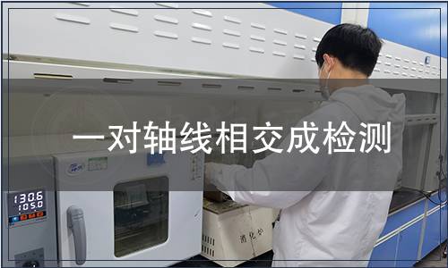 一对轴线相交成检测