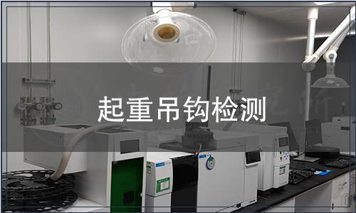 起重吊钩检测