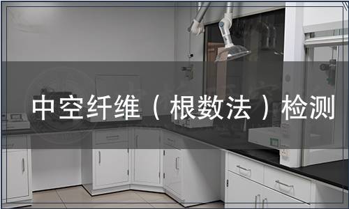 中空纤维（根数法）检测