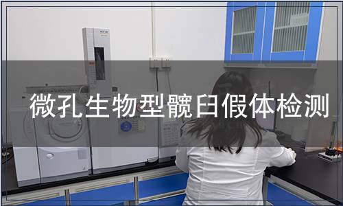 微孔生物型髋臼假体检测