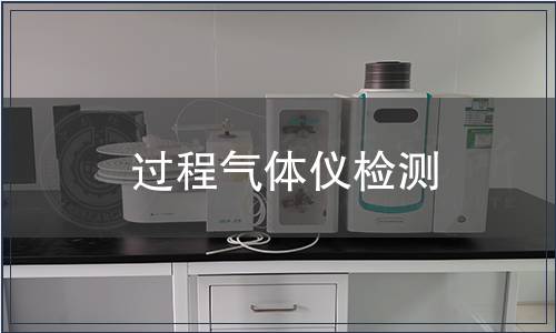 过程气体仪检测