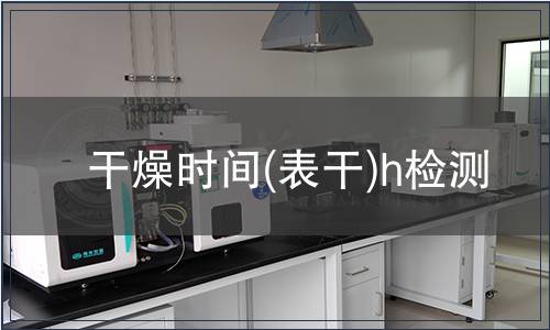 干燥时间(表干)h检测