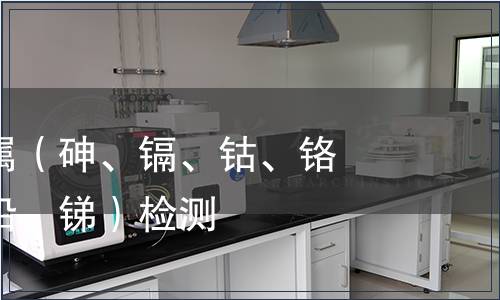 可萃取重金属（砷、镉、钴、铬、铜、镍、铅、锑）检测