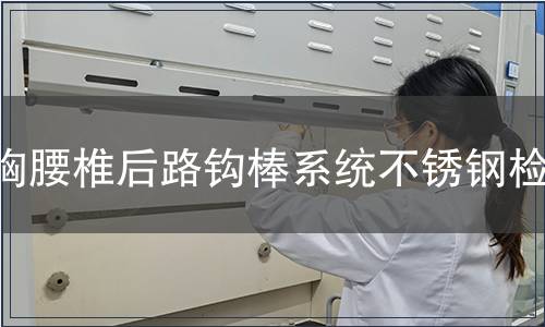 胸腰椎后路钩棒系统不锈钢检测