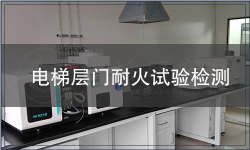 电梯层门耐火试验检测