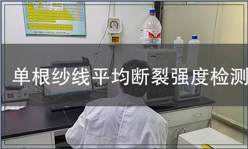 单根纱线平均断裂强度检测