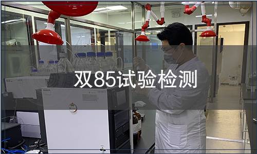 双85试验检测