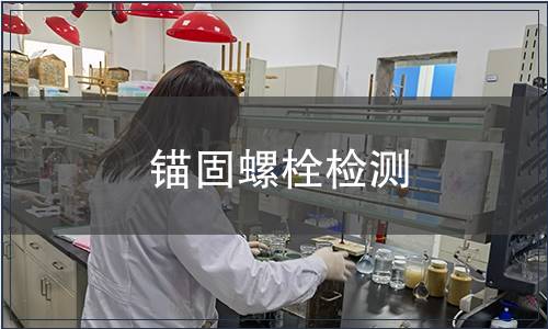 锚固螺栓检测
