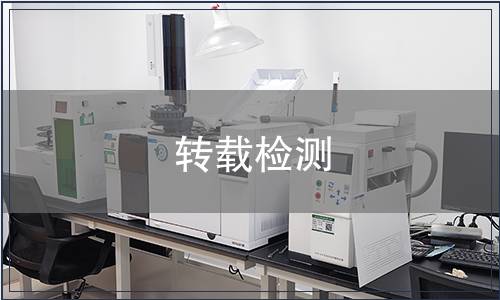 转载检测