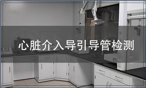 心脏介入导引导管检测
