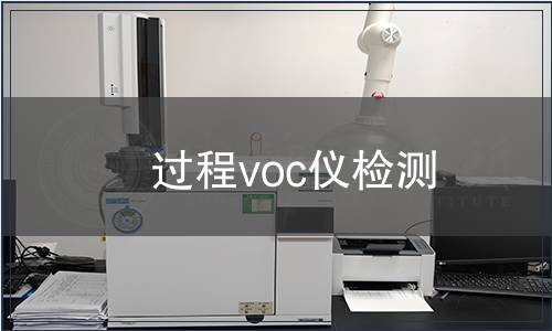 过程voc仪检测
