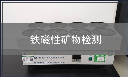 铁磁性矿物检测