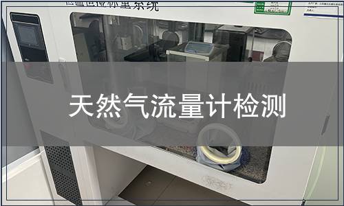 天然气流量计检测