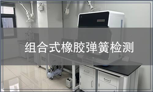 组合式橡胶弹簧检测