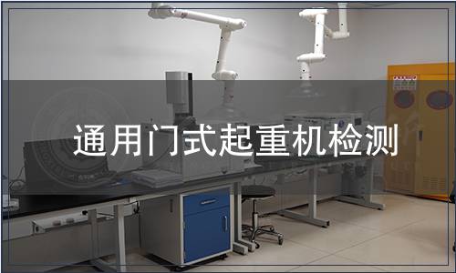 通用门式起重机检测