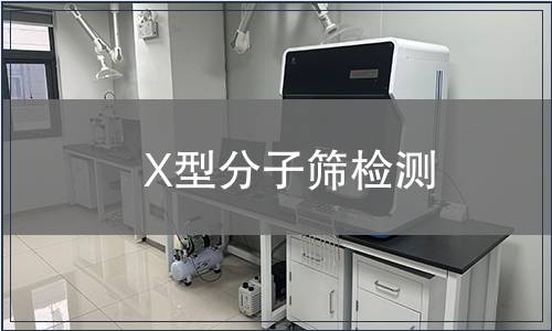 X型分子筛检测