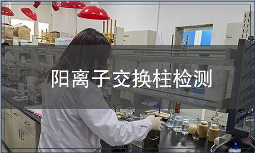 阳离子交换柱检测