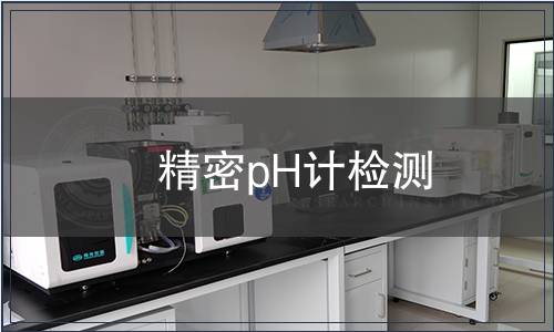 精密pH计检测