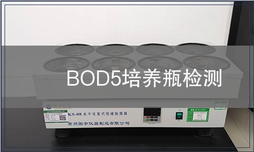 BOD5培养瓶检测