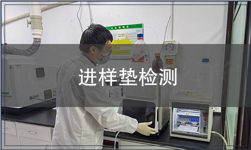 进样垫检测