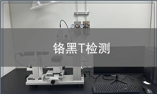 铬黑T检测