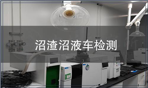 沼渣沼液车检测