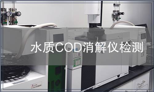 水质COD消解仪检测